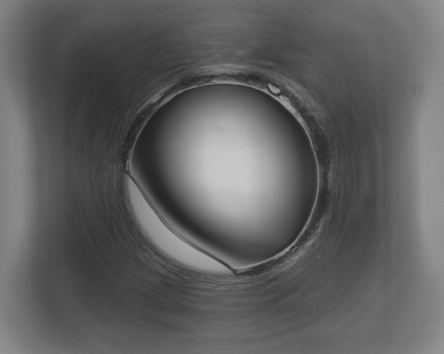 X0000113081209200909041122