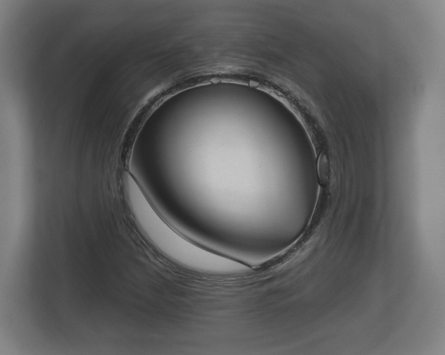 X0000113081210200909041122