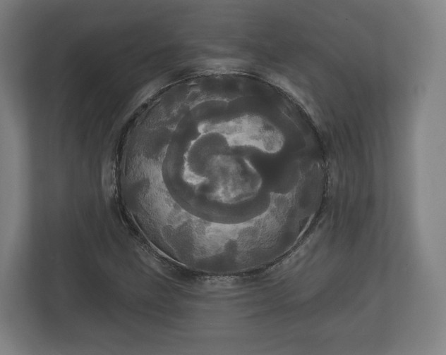 X0000113081211200909041122