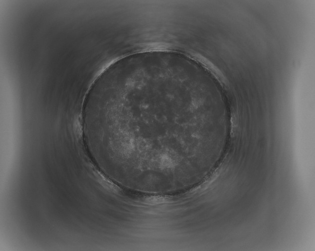 X0000113081212200909041122