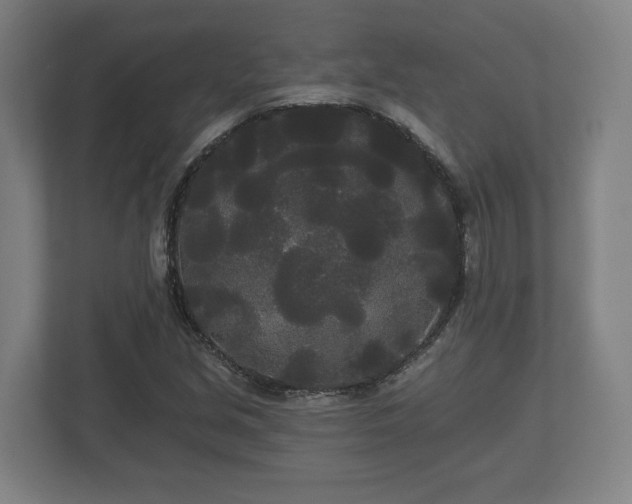 X0000113081213200909041122