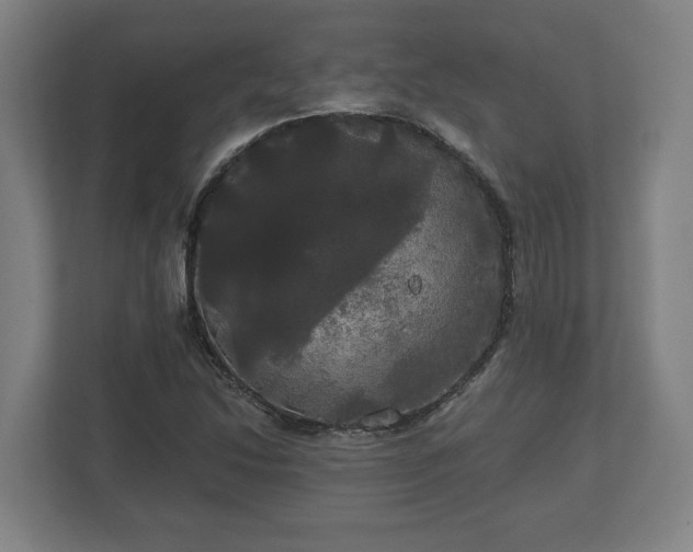 X0000113081214200909041122