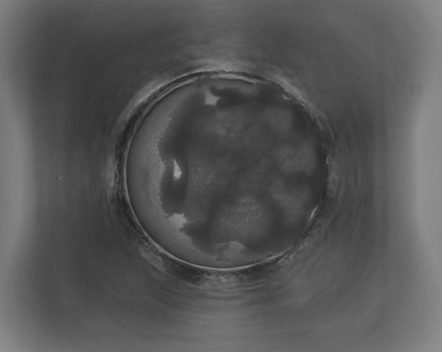 X0000113081215200909041122