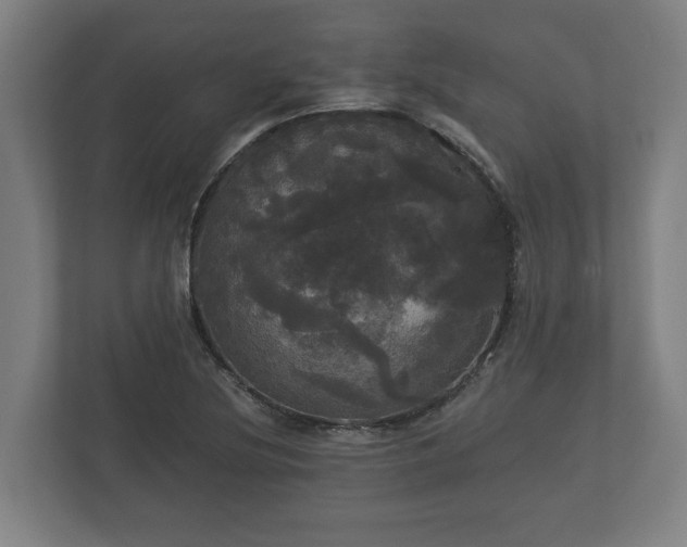 X0000113081220200909041122