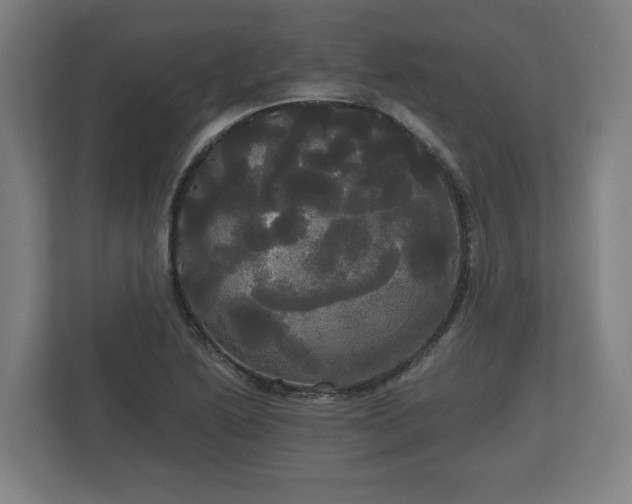 X0000113081222200909041122