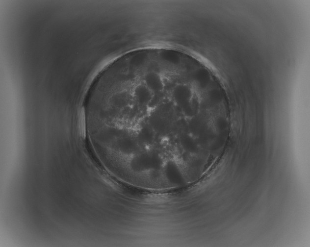 X0000113081223200909041122