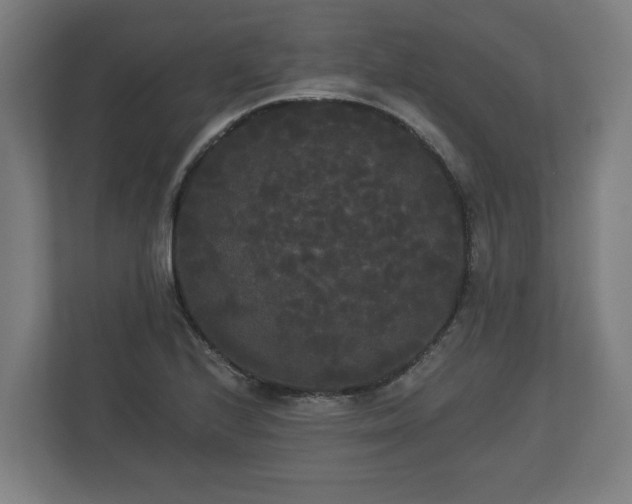 X0000113081224200909041122