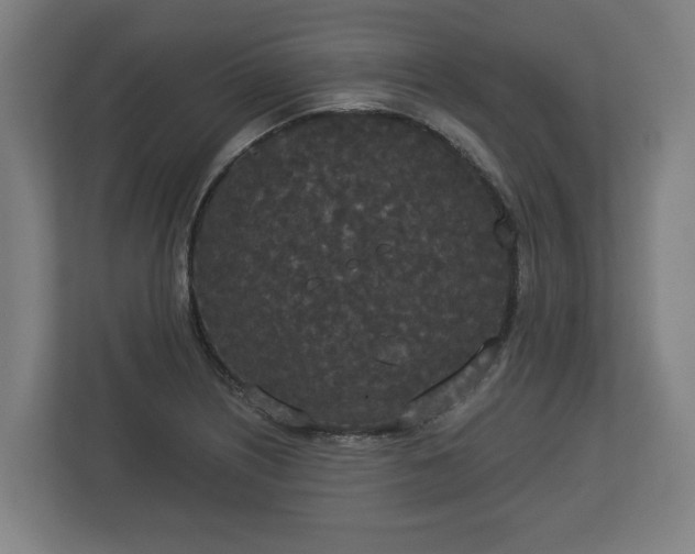 X0000113081226200909041122