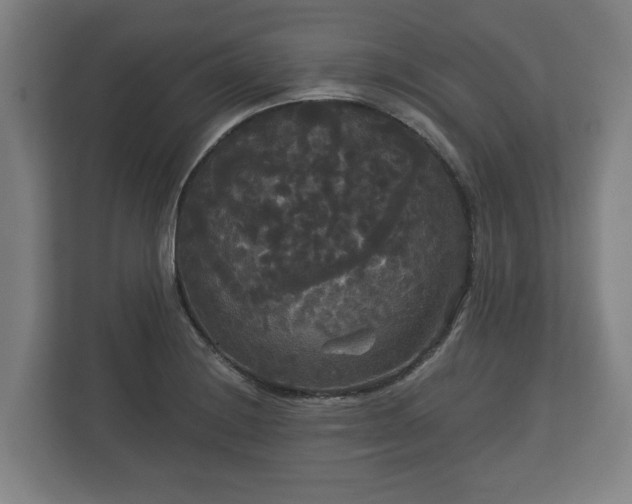 X0000113081228200909041122