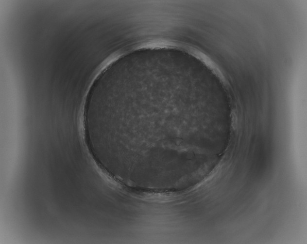 X0000113081229200909041122