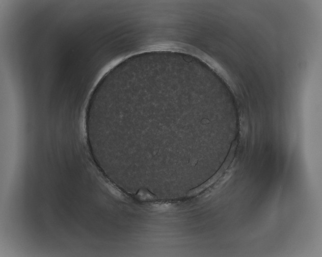 X0000113081230200909041122