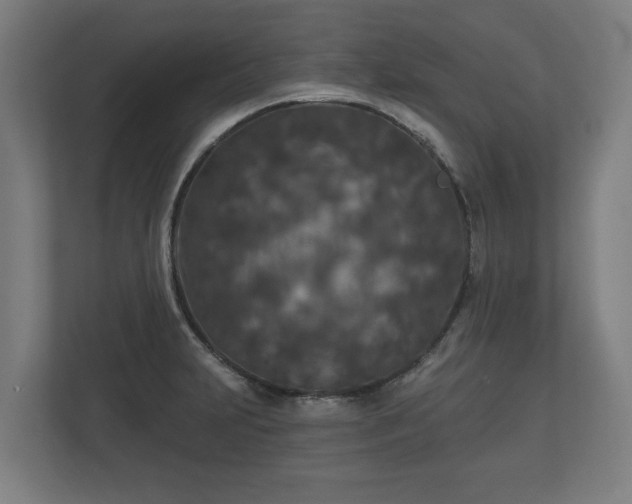 X0000113081231200909041122