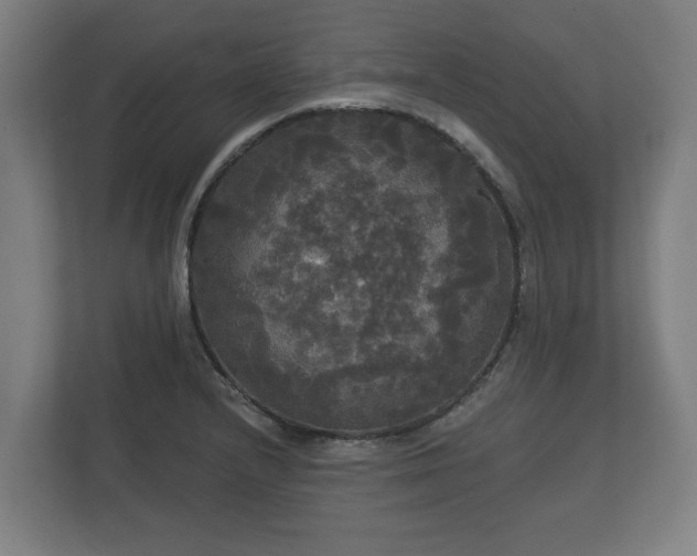 X0000113081232200909041122