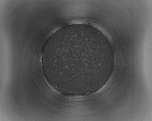 X0000113081233200909041122