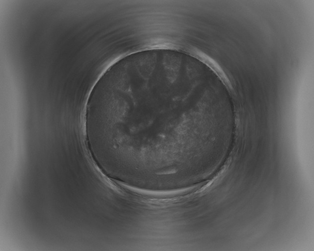 X0000113081236200909041122