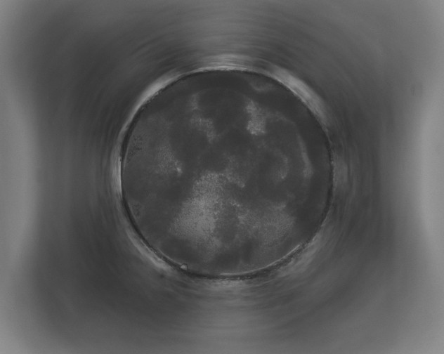 X0000113081238200909041122