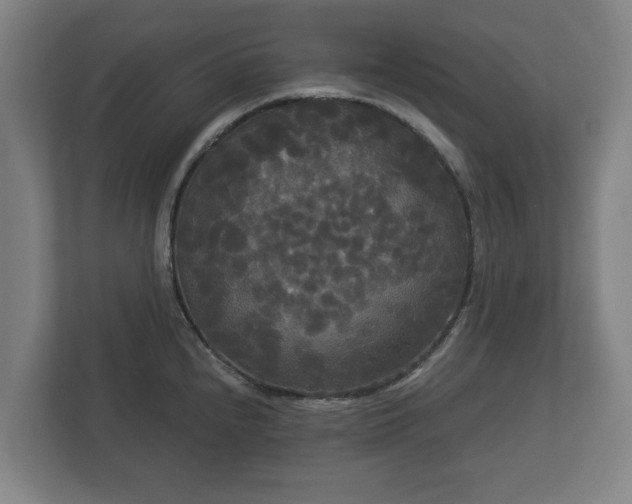 X0000113081240200909041122