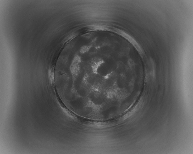 X0000113081241200909041122