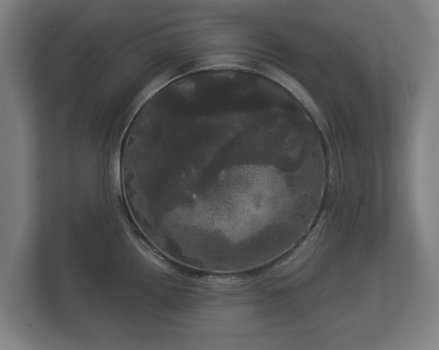 X0000113081242200909041122