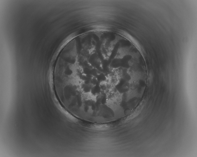 X0000113081243200909041122