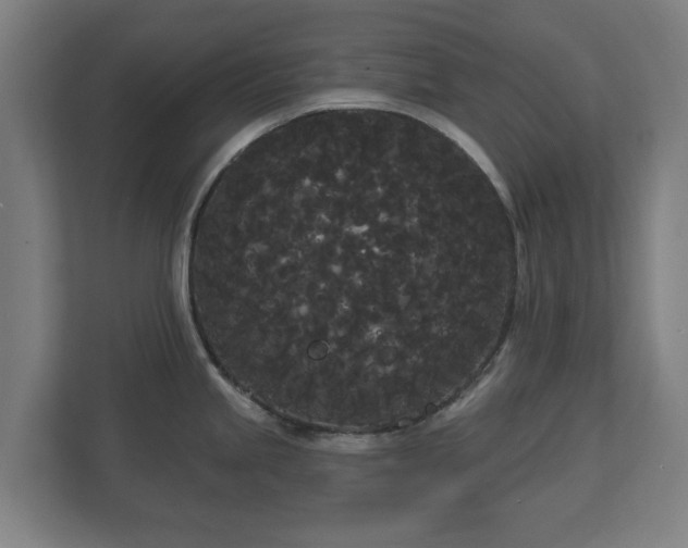 X0000113081245200909041122