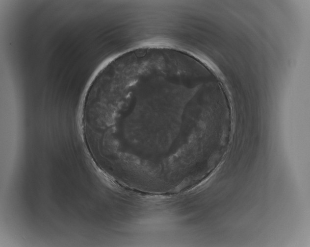 X0000113081248200909041122