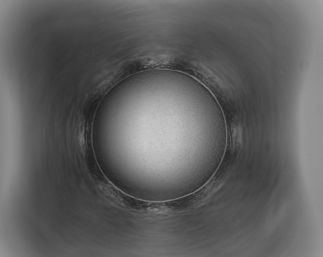 X0000113081250200909041122