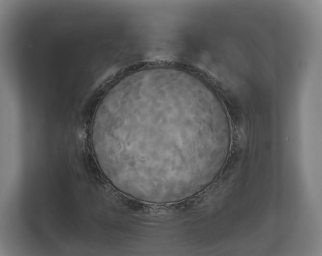 X0000113081254200909041121