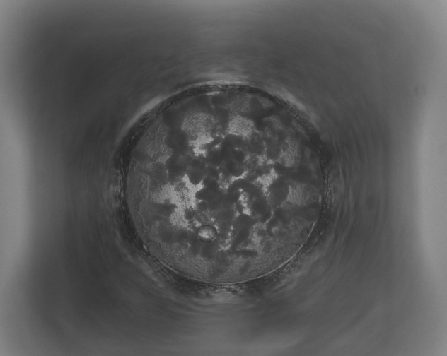 X0000113081255200909041121