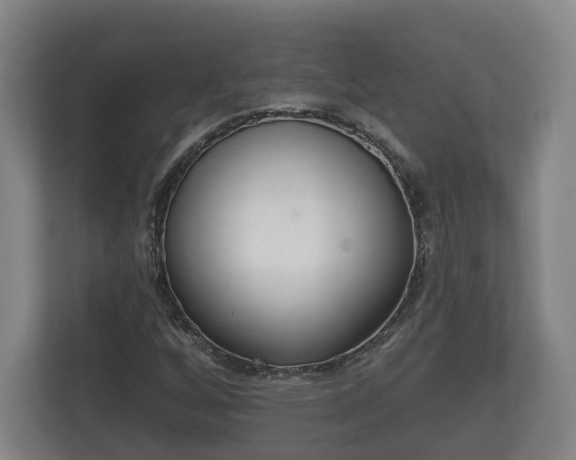 X0000113081256200909041121