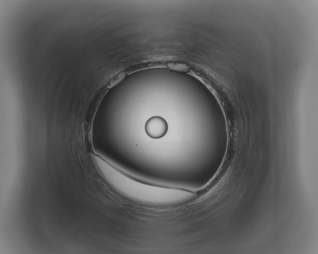 X0000113081257200909041121