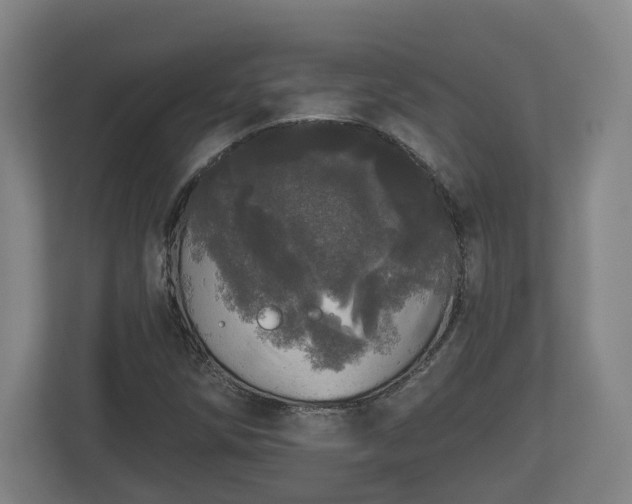 X0000113081258200909041121