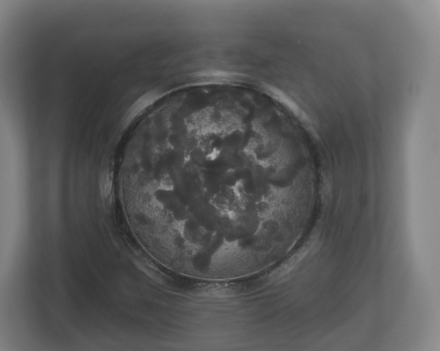 X0000113081259200909041121