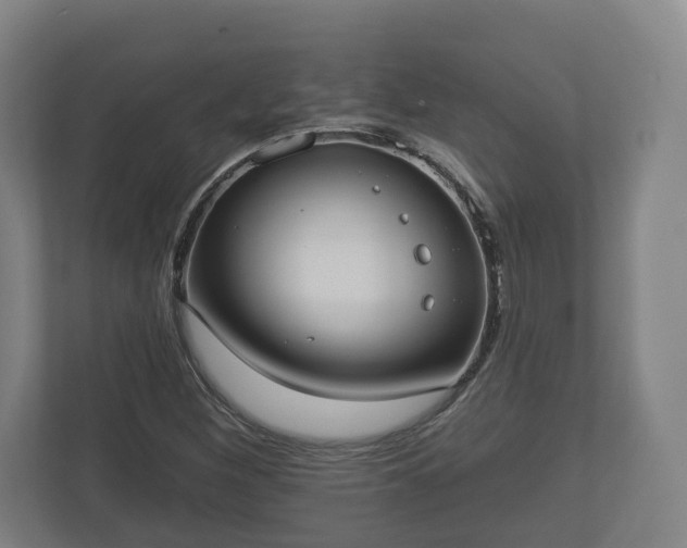 X0000113081260200909041121