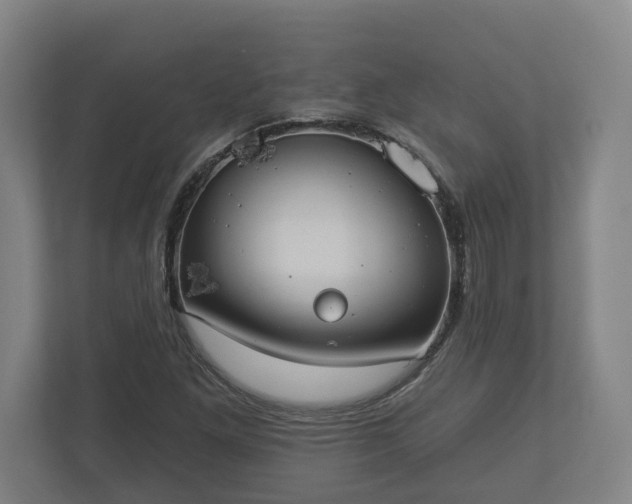 X0000113081261200909041121