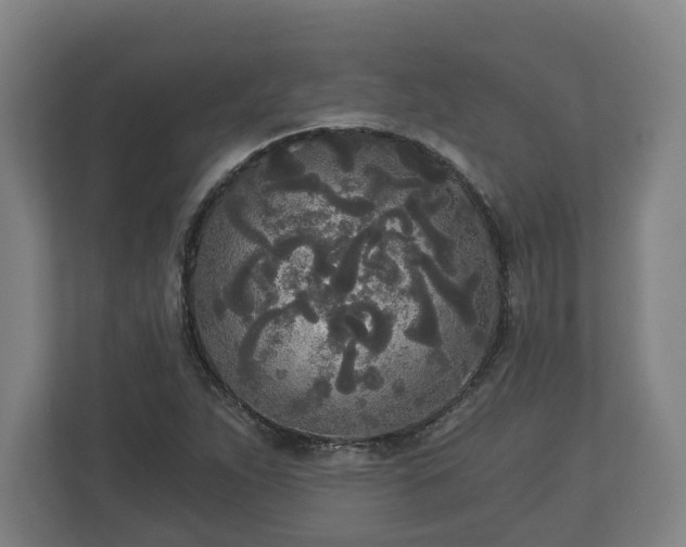 X0000113081263200909041121