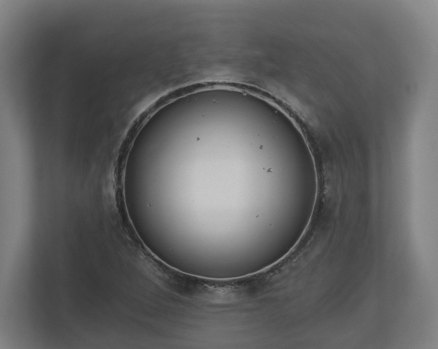 X0000113081264200909041121