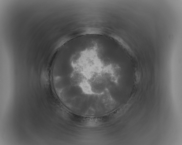 X0000113081266200909041121