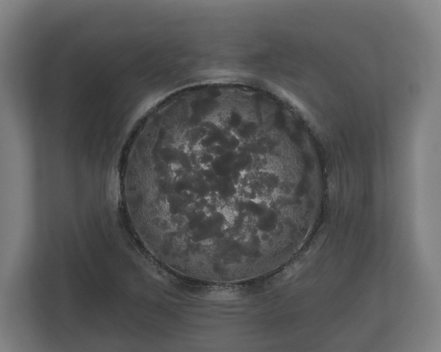 X0000113081267200909041121