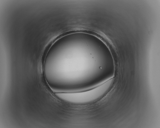 X0000113081269200909041121