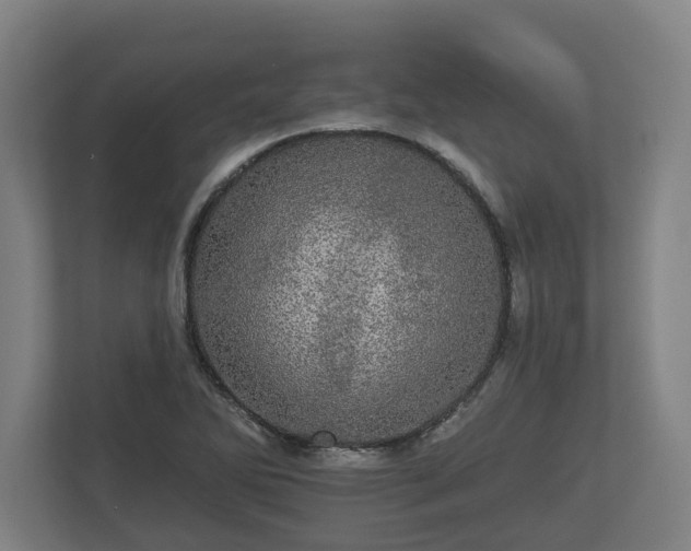 X0000113081270200909041121