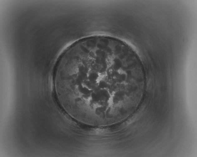 X0000113081271200909041121