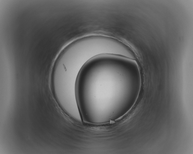 X0000113081272200909041121