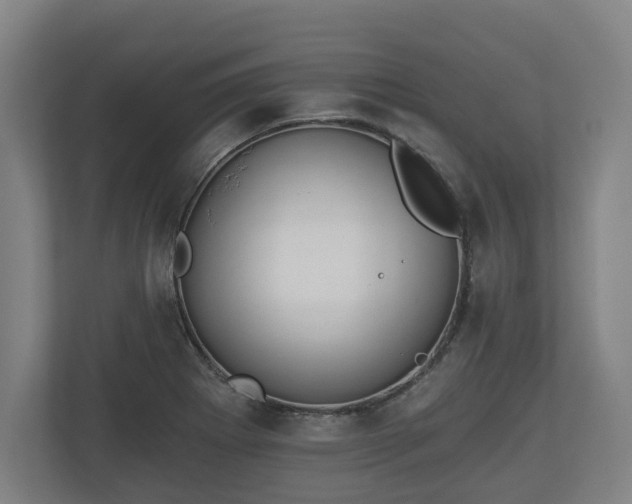 X0000113081273200909041121