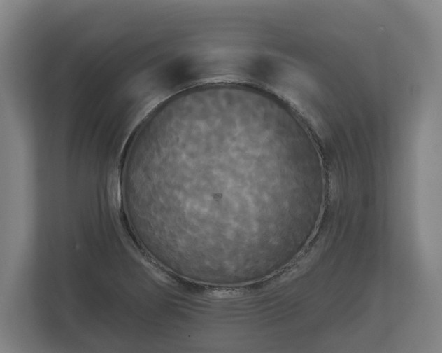 X0000113081274200909041121