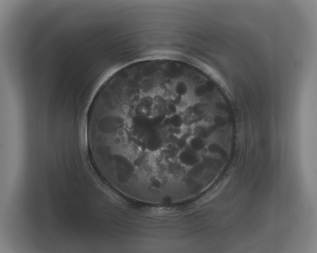 X0000113081275200909041121