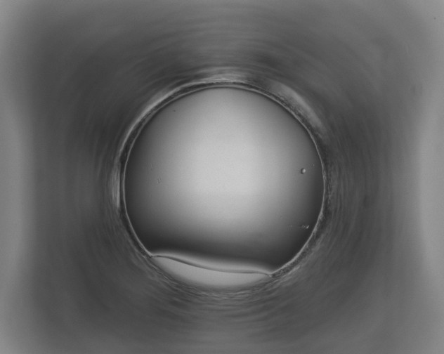 X0000113081276200909041121