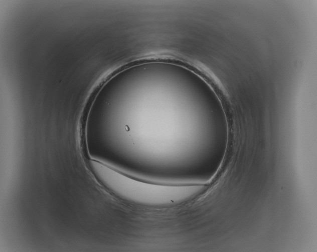 X0000113081277200909041121