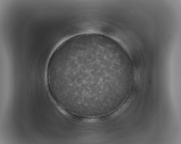 X0000113081278200909041121