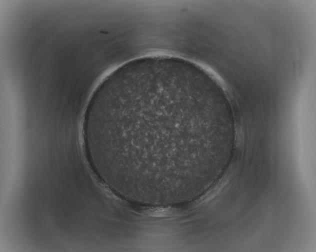 X0000113081279200909041121